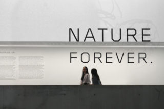 MAXXI-Nature-Forever.-Piero-Gilardi-01-Exhibition-Title-Text-Typography