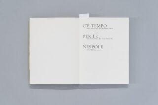 Etaoin-Shrdlu-Studio-ICCD-C'è-tempo-per-le-nespole-Book-design_0002