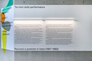 ESS_Territori-della-performance_MAXXI_Exhibition_01